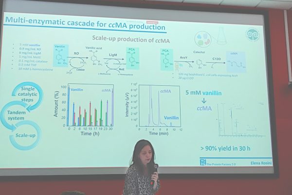 Elena Rosini (University of Insubria) - A Sustainable Biotechnological Platform: Generating New Value From Renewable Biomasses and Waste