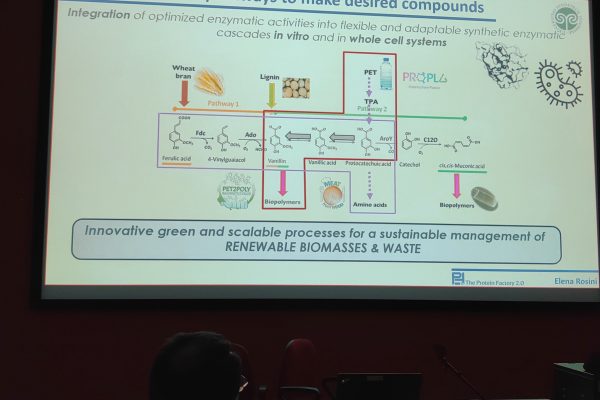 Elena Rosini (University of Insubria) - A Sustainable Biotechnological Platform: Generating New Value From Renewable Biomasses and Waste