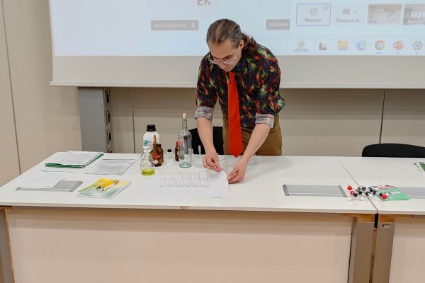 Fabio Parmeggiani (POLIMI) - The Wonders of Vanilla