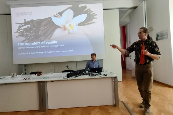 Fabio Parmeggiani (POLIMI) - The Wonders of Vanilla