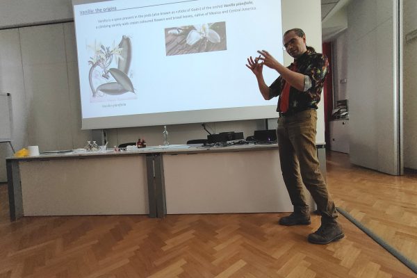 Fabio Parmeggiani (POLIMI) - The Wonders of Vanilla