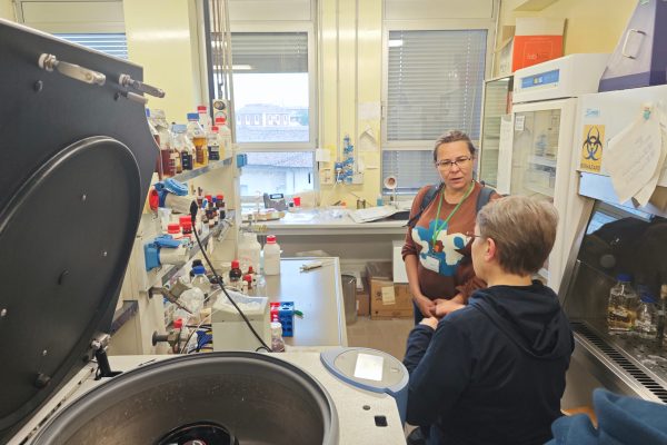 Laboratory tour at POLIMI’s Department of Chemistry, Materials, and Chemical Engineering “Giulio Natta”